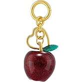 Santiccipa Bag charms, cute keychain charms for purse and handbag accessories, gifts for women