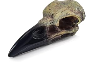 FYNONO Raven Skull, Resin Raven Skull Statue, Animal Skull Decor, Gothic Decor Halloween Decor for Home Faux Bird Bone Jewelry Necklace Decor, 1 Piece, 6cm-1PCS