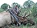 Montana Decoy Elk Rump Hunting Decoy
