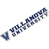 Desert Cactus Villanova University Sticker Wildcats Name Logo Vinyl Decal Laptop Water Bottle Car Scrapbook (8 Inch Sticker)