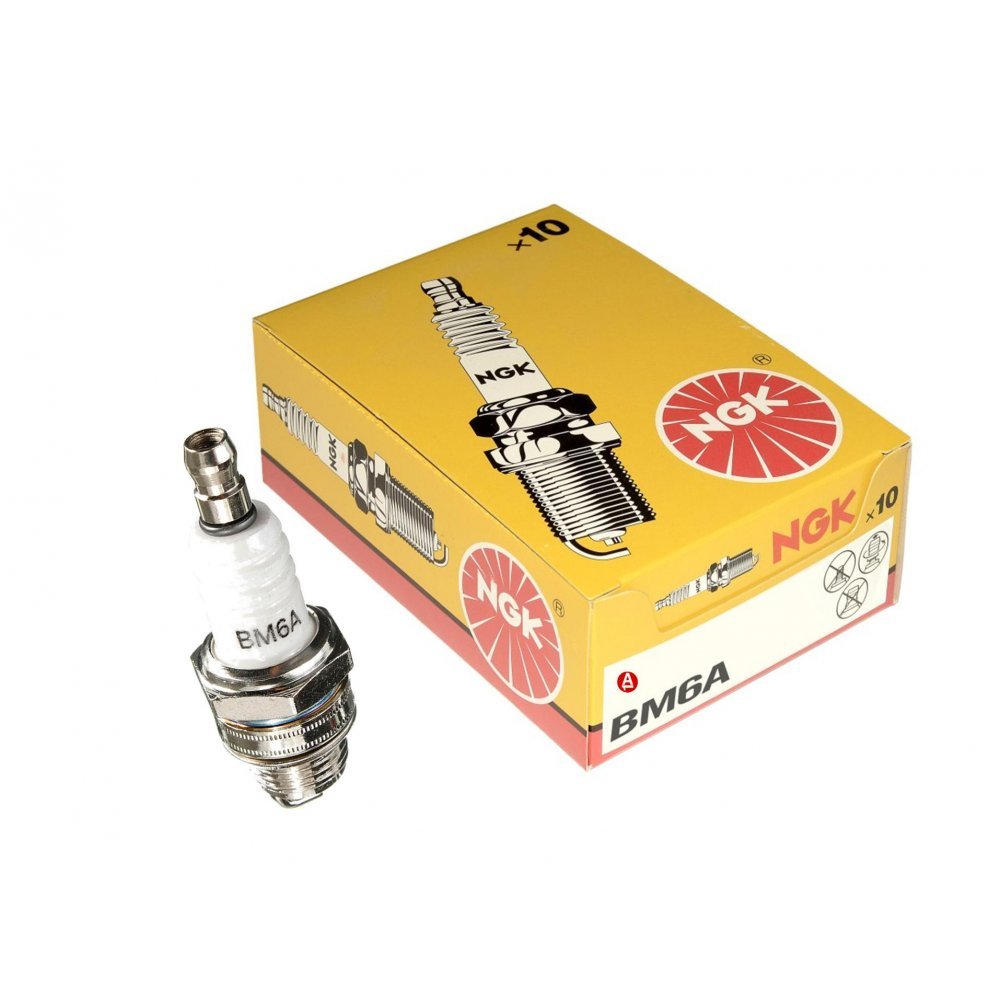 NGK 10 BM6A Spark Plug 5921 Champion CJ8 or Bosch WS8E Equivalent CS/SP107