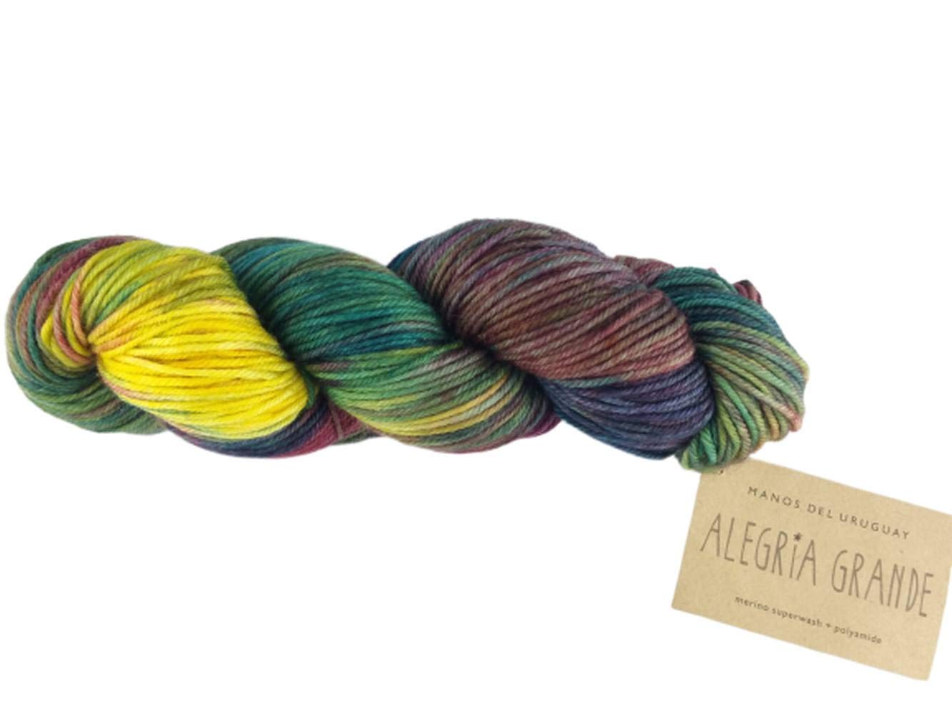 Manos Del Uruguay Alegria Grande 8855 Pindo, 100g — image 1