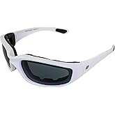 Birdz Eyewear Oriole Motorcycle Glasses
