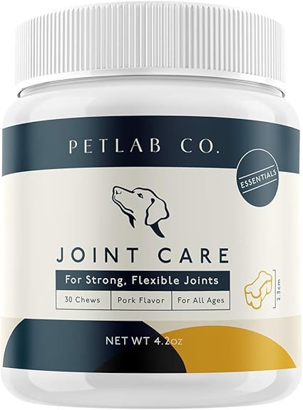 find break in underground dog fence