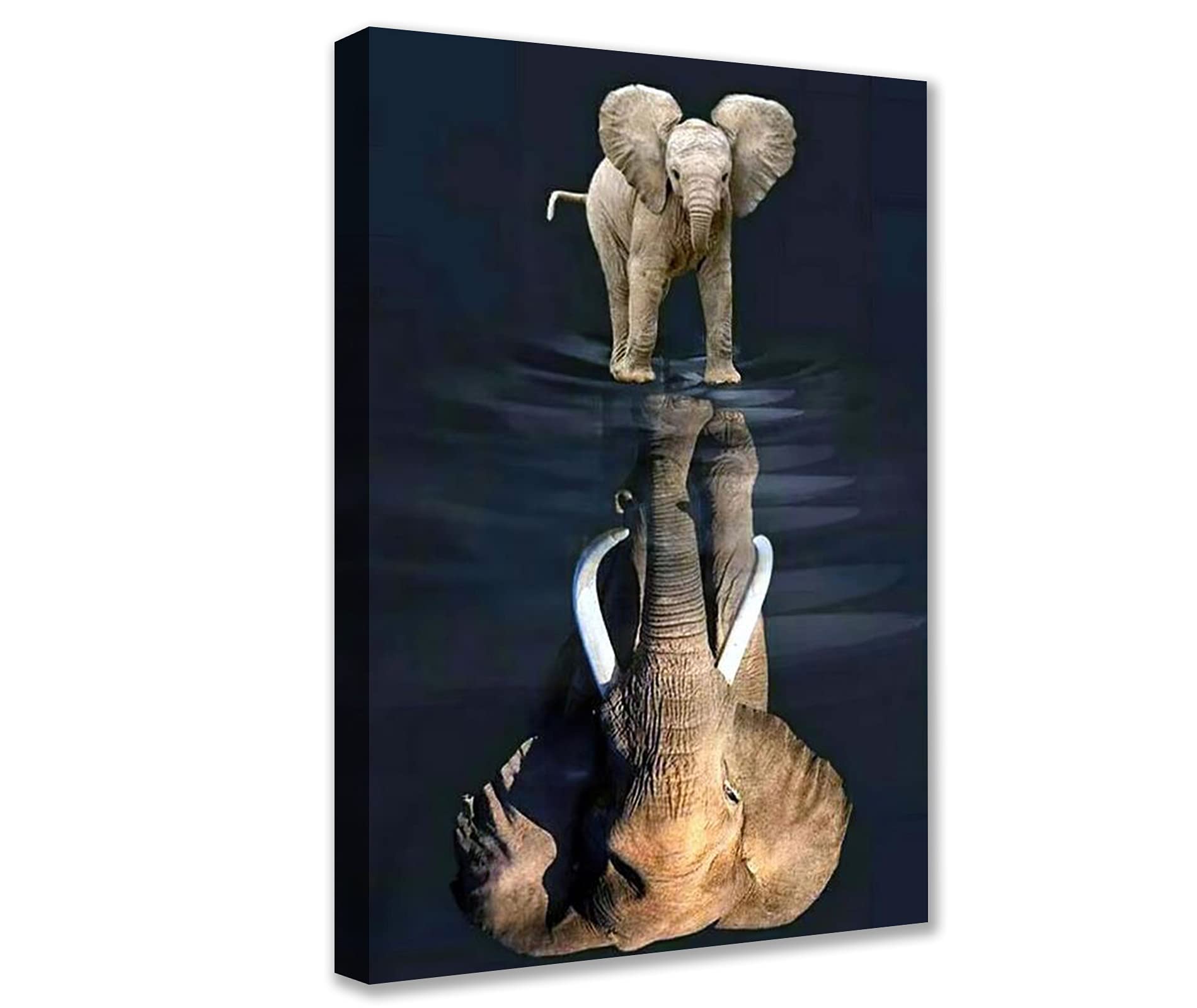 Mindset Is Everything Poster 1 Piece Elephant Picture Motivational Wall Art Canvas Print Animal Painting Inspirational Wall Art Entrepreneur Quotations Office Decor Artwork Gift Ready to Hang16"Wx24"H