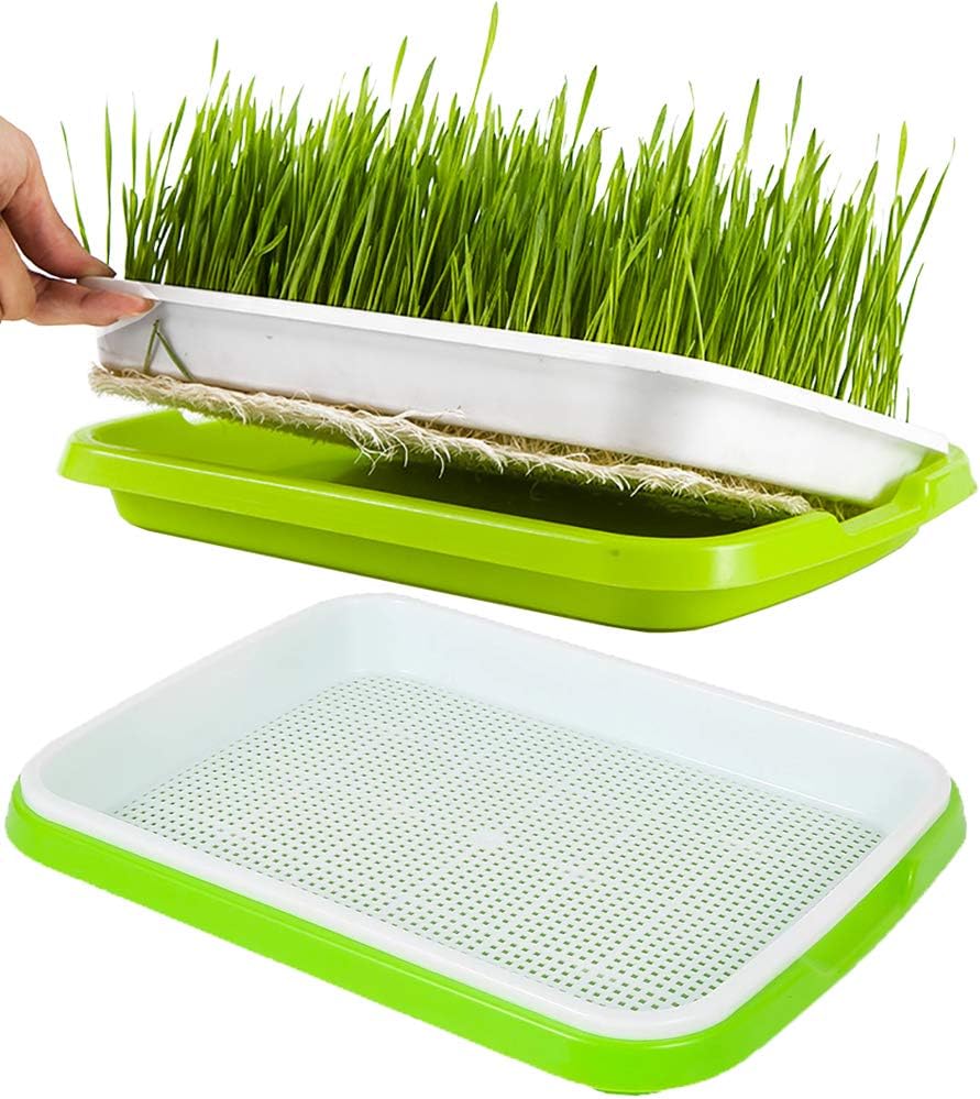 Seed Sprouter Tray,2 PCS Seed Germination Tray Healthy Wheatgrass Seeds Grower & Storage Trays for Garden Home Office 12.5x9.5x1.8 inch(LxWxH)