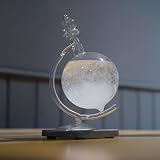 InGenious Globe Storm Glass Weather Forecast Nordic Style Ornament Barometer view 6