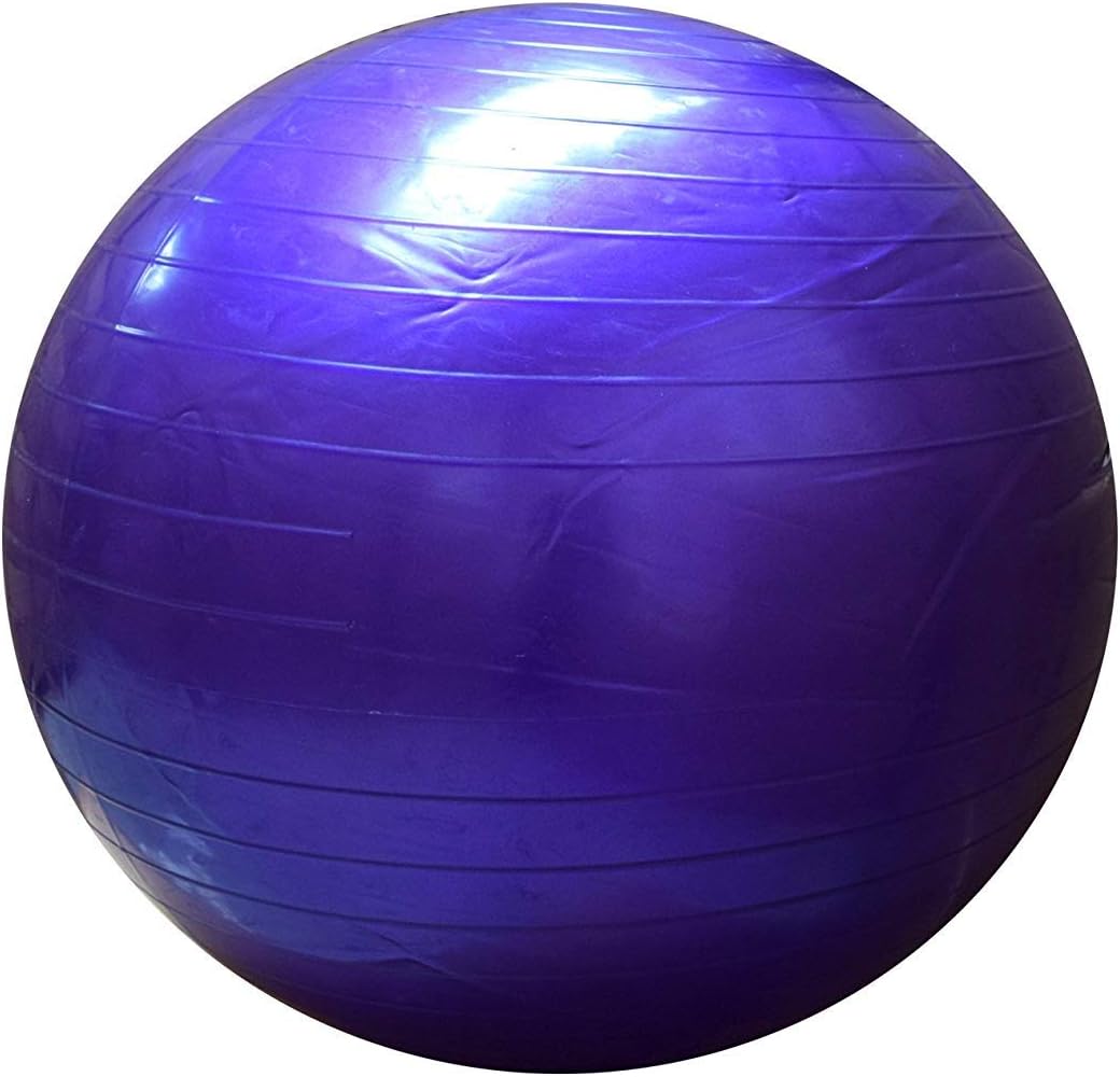 FitAndFun Pelota de Ejercicio Balon de Pilates Violeta ...