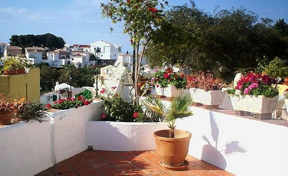 S&M 544286 Kit de Iniciación al Riego por Goteo para terrazas ...