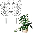 2Pack Indoor Plant Trellis Metal Wire Garden Trellis ，Small Climbing Leaf Shape Trellis for Garden Potted Plant Houseplant(Gr