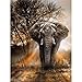 DIY 5D Diamond Painting Kits for Adults Full Drill Embroidery Paintings Rhinestone Pasted DIY Painting Cross Stitch Arts Crafts for Home Wall Decor 30x40cm/11.8×15.7Inches（Elephant