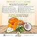 Probiotics for Dogs & Cats with Prebiotics & Digestive Enzymes Best for Gas Diarrhea UTI & Yeast Infection Relief Grain Free Powder Supplement Organic Coconut Oil Pumpkin & Turmeric Made in The USA