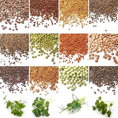 Verdant Republic Organic Sprouting Microgreen Seeds 12 Variety Starter Packs (590g) - Broccoli, Alfalfa, Cress, Red Cabbage, Pea, Rocket, Kale | High Germination to Sprouts & Microgreens