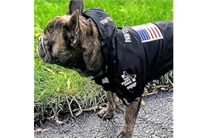 PQIQP “The Puppy Fans”Waterproof Dog Jacket for Small Medium Dog Puppy Raincoat with Hoodie Dog Winter Coat Windbreaker (Flag Black, XL)