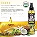 US Organic Body Oil, Smooth Caribbean Coconut - Jojoba and Olive Oil with Vitamin E, USDA Certified, No Alcohol, Paraben, Artificial Detergents, Color or Synthetic perfume, 5 Fl.oz (Caribbean Coconut)