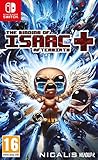 The Binding of Isaac: Afterbirth +