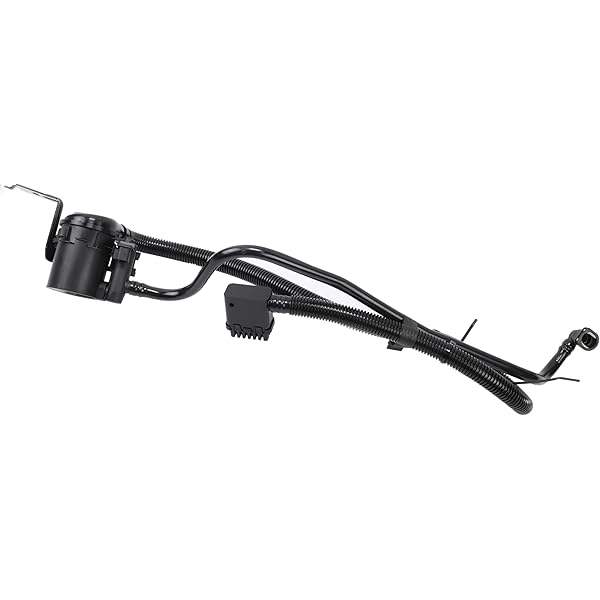 Amazon.com: GM Genuine Parts 19257603 Vapor Canister Vent Valve 