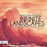 ELLIOT MILES MCKINLEY:INFINITE LANDSCAPES          image