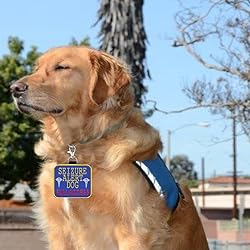 Seizure Alert Dog” Identification Patch Tag