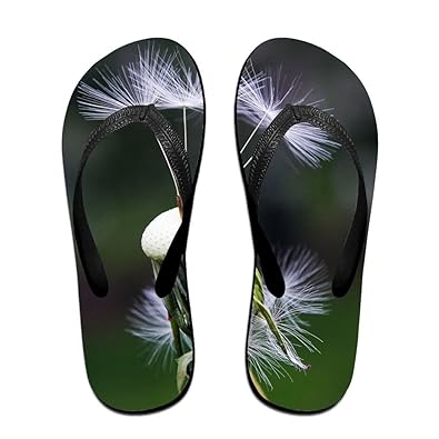 Image result for roadside flip flops