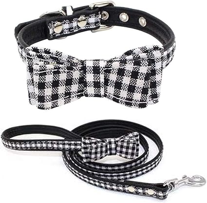 cute boy dog harness