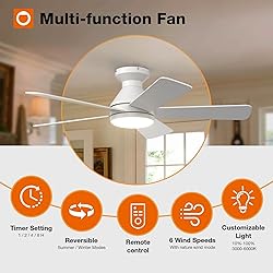 addlon Ceiling Fans with Lights, 42 Inch Low