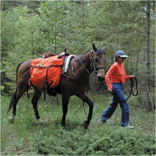 TrailMax Saddle Panniers