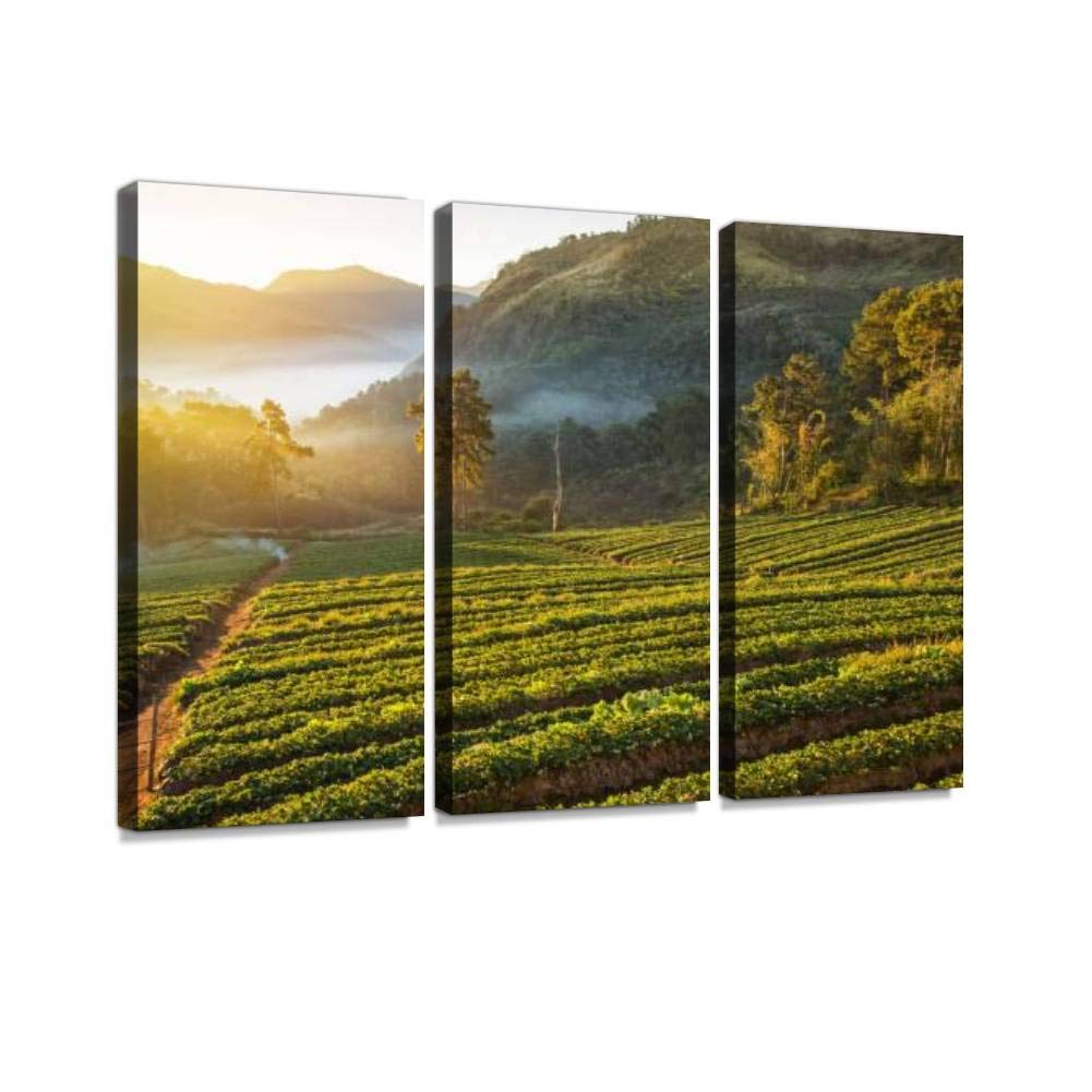 Best Terraced Strawberry Garden Bed