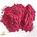 Beetroot Pro Sports Beet Powder for Optimized Circulation, Trusted by Elite Professional Triathletes Runners Cyclists, Enhance Muscle Strength, Boost Energy, VO2 Max, Patented NO3-T Nitrate Technology