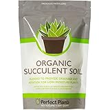 Succulent & Cactus Soil Mix by Perfect Plants (1QT)