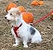 Kurgo Tru-Fit Enhanced Strength Dog Harness - Certified Crash Tested Car Safety Harness for Dogs - Metal Buckles, Padded Chest - Includes Pet Seatbelt - No Pull Training - Red, Large
