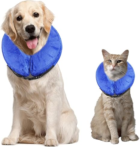 Hxq Top Collier De Protection Gonflable Pour Chiens De Petite Et Moyenne Taille Et Pour Chats Empeche Les Animaux De Toucher Leurs Points De Suture Amazon Fr Animalerie Hxq Top Collier De Protection Gonflable Pour Chiens De Petite Et Moyenne Taille Et Pour Chats Empeche Les Animaux De Toucher Leurs Points De Suture Amazon Fr Animalerie