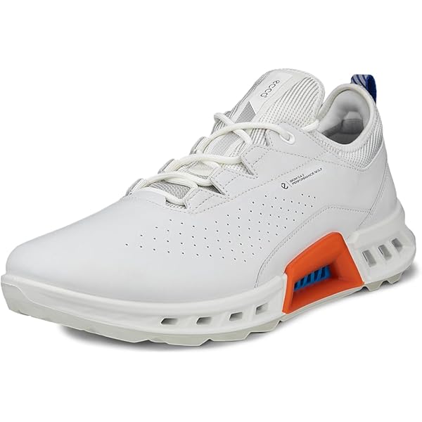 ecco ゴルフシューズ　メンズ　BIOM G5 40 ECCO Golf BIOM G5 メンズ レザーGore-Texゴルフスパイク | グレー