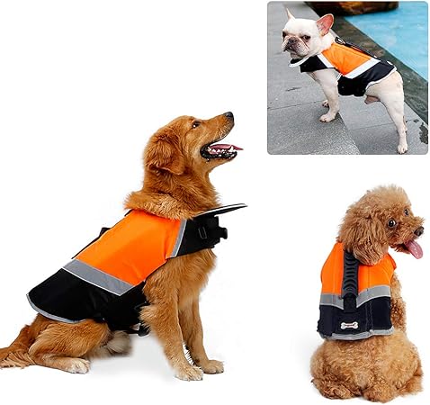 dog life jacket pets at home