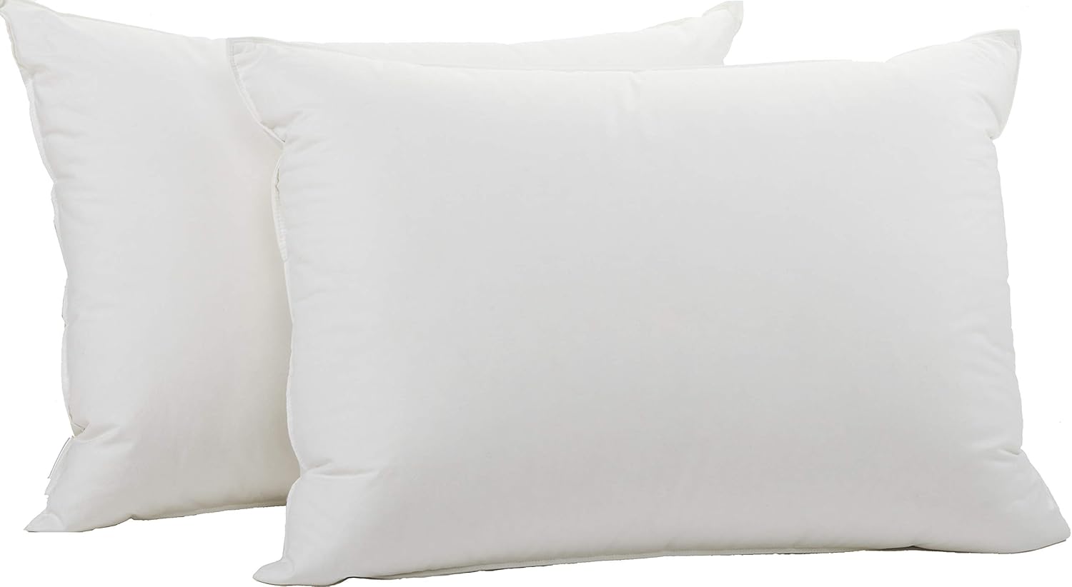 Amazon Com Coyuchi 1015501 Organic Down Pillow Insert Queen