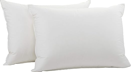 Amazon Com Coyuchi 1015501 Organic Down Pillow Insert Queen