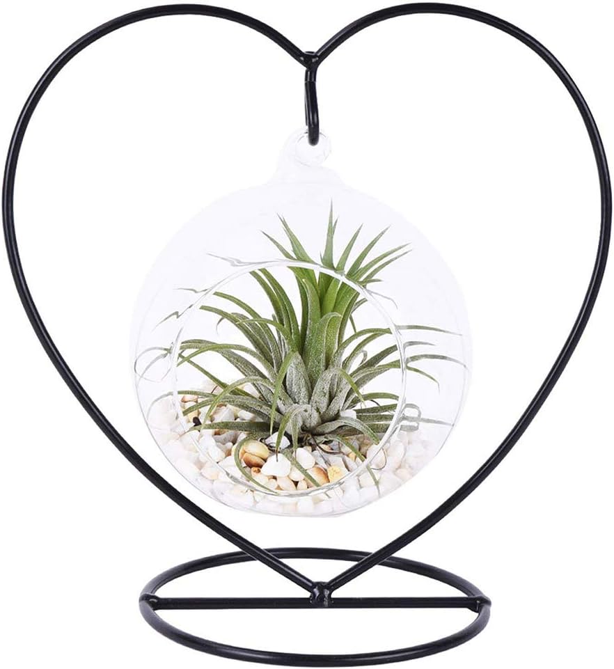 Sobotoo Charming Clear Glass Hanging Planter Terrarium Succulent Plant Display Flower Vase Air Planter Container with Black Metal Stand Home Tabletop Decoration (Heart Shelf+Ball)