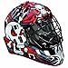 Franklin Sports NHL SX Pro GFM 1000 Goalie Mask