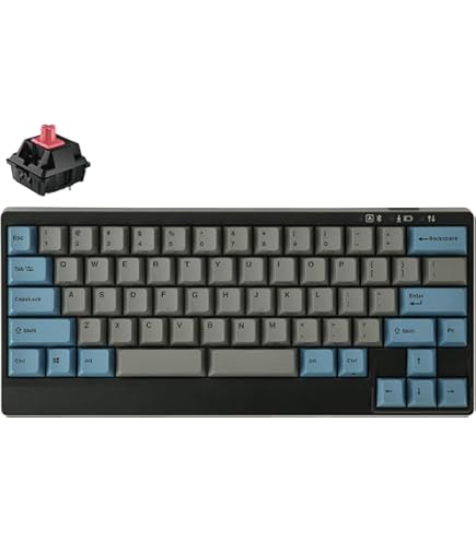 Amazon.com: Leopold FC660M PD Swedish Style White Blue PBT