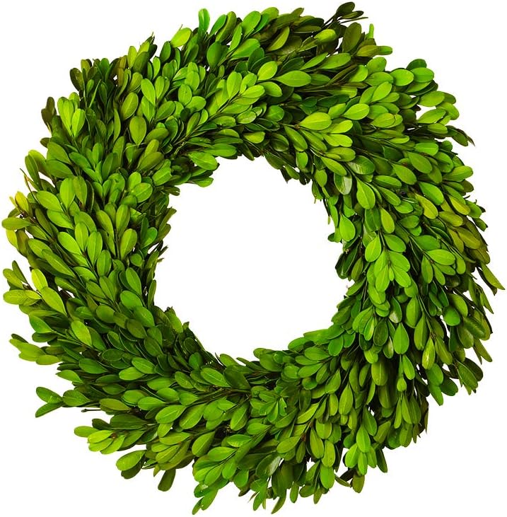 Boxwood Wreath 10 inch Preserved Nature Boxwood Wreath Home