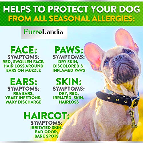 FurroLandia Dog Allergy Relief Chews Omega 3 Salmon Fish Oil