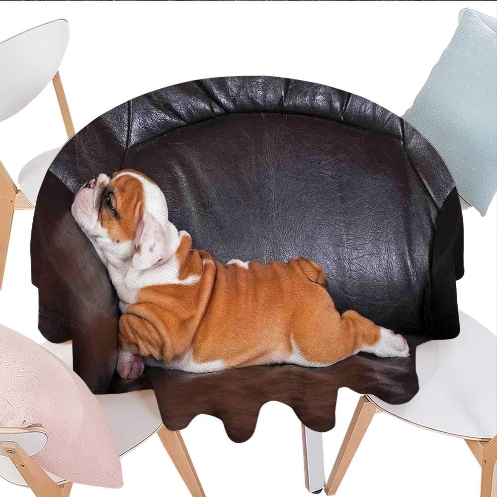 Amazon Com Longbuyer English Bulldog Oval Tablecloth Puppy