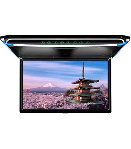 Amazon.com: Absolute DFL4008IRG 9.5-Inch TFT-LCD Overhead Flip