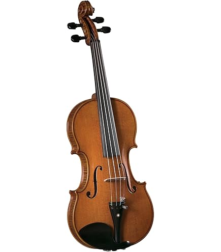 Amazon.com: Cremona SV-400 Premier Artist Violin Outfit - 4/4 Size