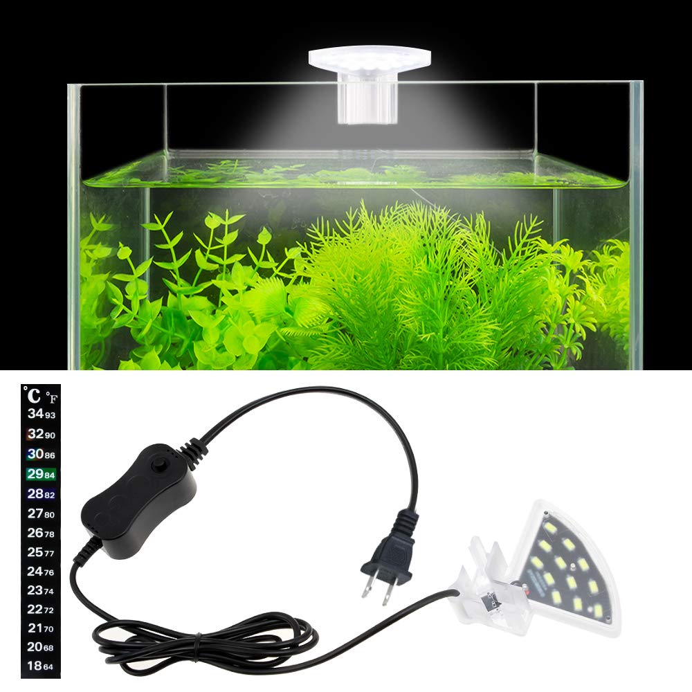 Best Mini-Reef Led Lighting