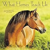 What Horses Teach Us Mini 2019 Wall Calendar by 