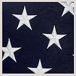 American Flag 3x5 ft -Heavyweight Oxford Nylon Built for Outdoor Use, UV Protected and Featuring Embroider Stars and Sewn Stripes and Brass Grommets.