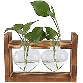 Plant Terrarium with Wooden Stand,Heart Shaped Transparent Glass Vase Flower Pot Hydroponics Plant Propagation Station for Hydroponics Plants Home Office Decor (Retro Box + 2