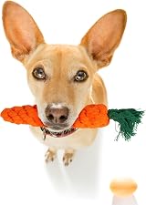 Fur & Bone 10-Pack Puppy Chew Toys - Indestructible Rope & Squeaky Teething view 9