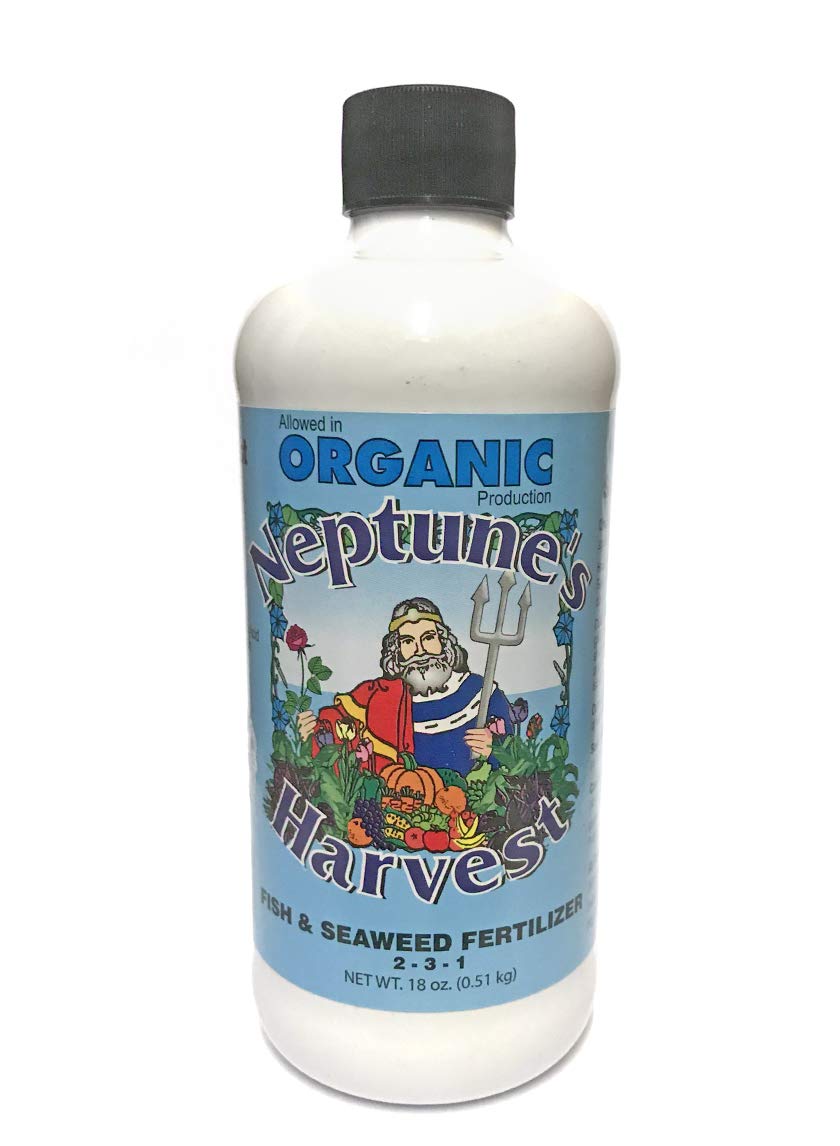 36 oz. Neptune's Harvest Fish & Seaweed Fertilizer